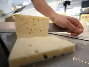 Tağşiş listesine giren peynir markasından konkordato kararı