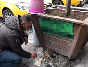 Taksici Hayvanlara Güzel Davranıyor