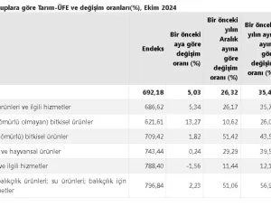 Tarım Ürünleri Fiyatları Ekim’de Yükseldi