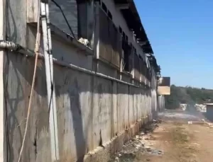 Tarsus’ta Tavuk Çiftliğinde Yangın