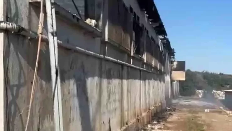 Tarsus’ta Tavuk Çiftliğinde Yangın