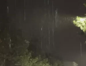 Tatvan’da Kar Yağışı Etkili Oldu