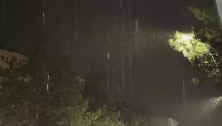 Tatvan’da Kar Yağışı Etkili Oldu