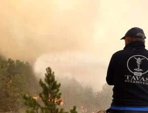 Tavas Belediye Başkanı Yangınla İlgili Sorumluları Kınadı