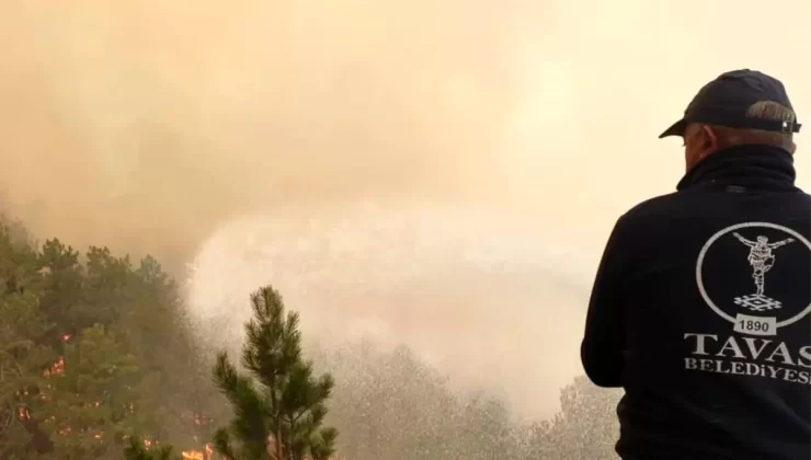 Tavas Belediye Başkanı Yangınla İlgili Sorumluları Kınadı
