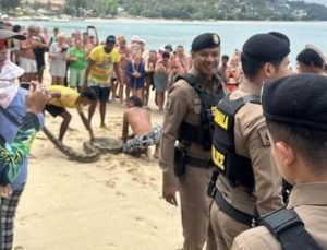 Tayland’da denizden 3 metrelik dev piton çıktı