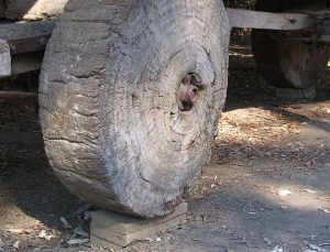 Tekerleğin icadına giden yol: 12 bin yıllık taşlar