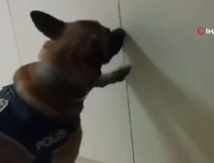 Tekirdağ’da Dev Narkotik Operasyonu