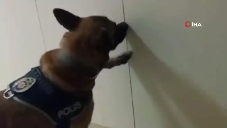 Tekirdağ’da Dev Narkotik Operasyonu