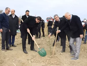 Tekirdağ’da Fidan Dikimi