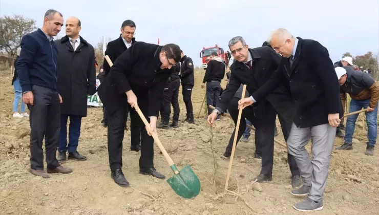 Tekirdağ’da Fidan Dikimi