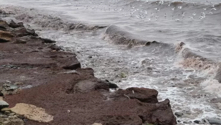 Tekirdağ’da Kırmızı Yosun Alarmı Yok