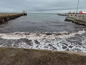 Tekirdağ’da Poyraz, Kızıl Yosunları Kıyıya Taşıdı
