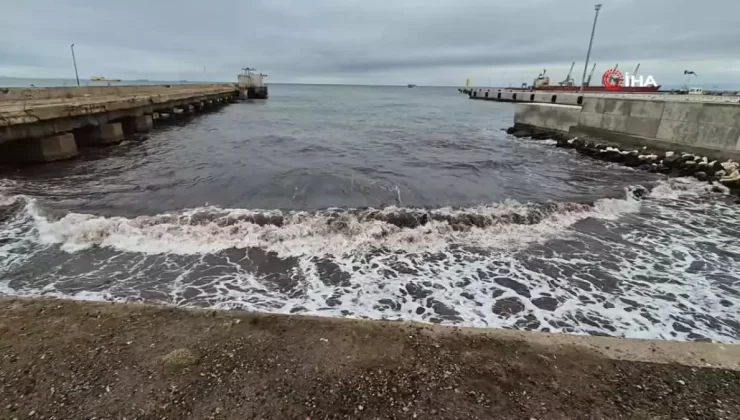 Tekirdağ’da Poyraz, Kızıl Yosunları Kıyıya Taşıdı