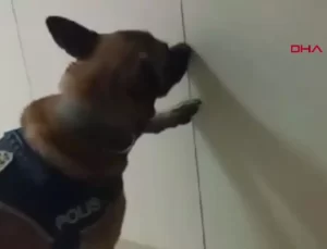 Tekirdağ’da Uyuşturucu Operasyonu: 8 Gözaltı