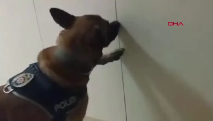 Tekirdağ’da Uyuşturucu Operasyonu: 8 Gözaltı