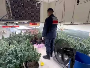 Tekirdağ’da Uyuşturucu Serası Baskını