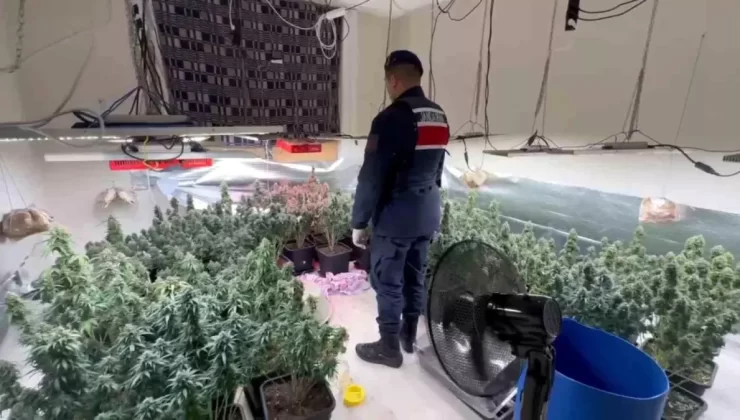 Tekirdağ’da Uyuşturucu Serası Baskını