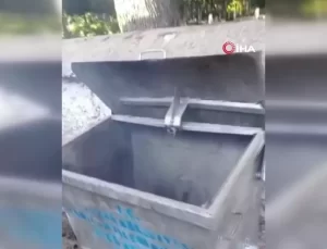 Temizlik Görevlisi Türk Bayrağını Kurtardı: ‘Bunu Yapanı Kınıyoruz’