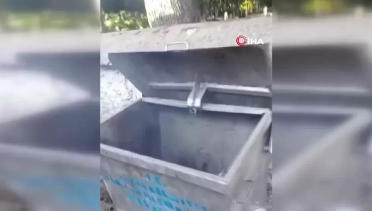 Temizlik Görevlisi Türk Bayrağını Kurtardı: ‘Bunu Yapanı Kınıyoruz’