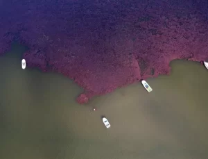 Terkos Gölü’nde Sonbahar Renk Cümbüşü