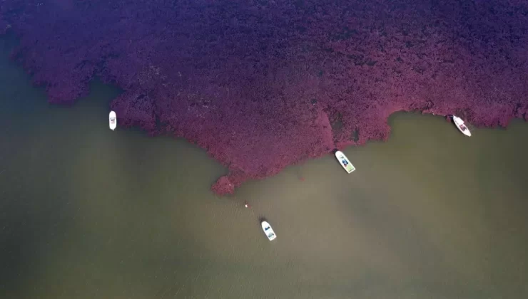 Terkos Gölü’nde Sonbahar Renk Cümbüşü