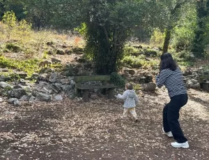 Termessos’ta Tilki Sürprizi