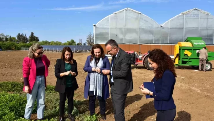 TİKA, KKTC’de Yer Fıstığı Üretimini Canlandırıyor