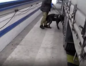 Tırda 17 Kilogram Kokain Ele Geçirildi