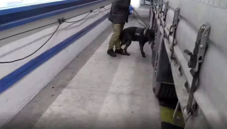 Tırda 17 Kilogram Kokain Ele Geçirildi