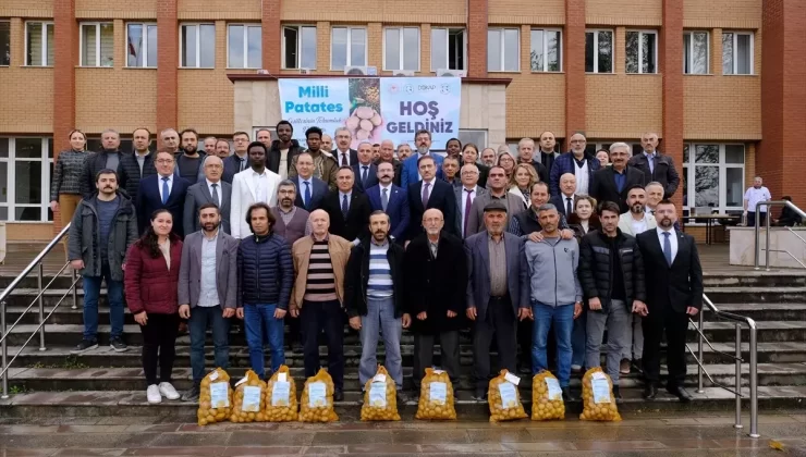 TOGÜ’de geliştirilen milli patates çeşitlerinin tohumlukları dağıtıldı