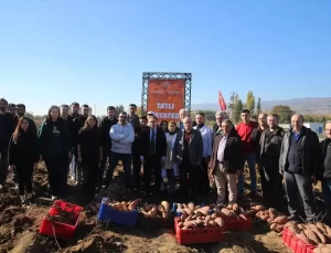 TOGÜ’de Tatlı Patates Hasadı Etkinliği