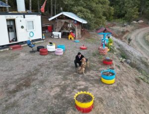 Tokat’ta balıkçının köpeklerle olan arkadaşlığı yürek ısıttı