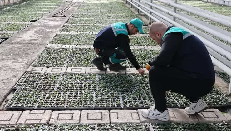 Tokat’ta Yeşil Alanlar Güzelleşiyor