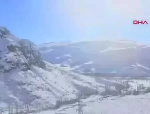 Tortum’da Yaban Hayvanları İçin Yem Bırakıldı