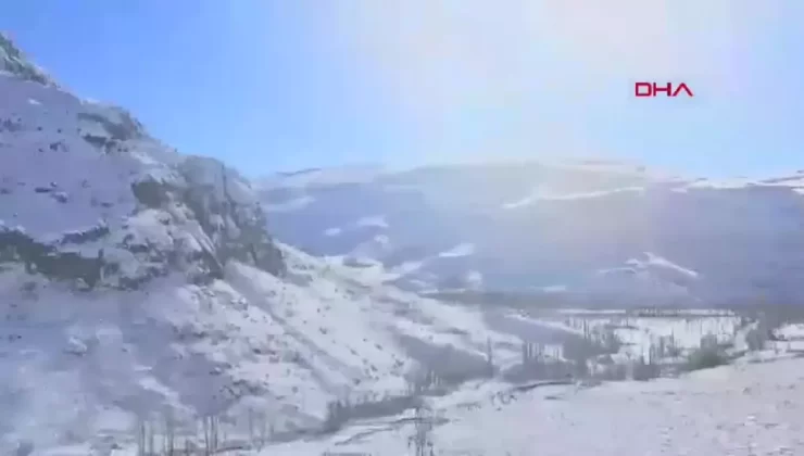 Tortum’da Yaban Hayvanları İçin Yem Bırakıldı
