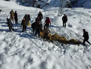 Tortum’da Yaban Hayvanları İçin Yem Bırakıldı