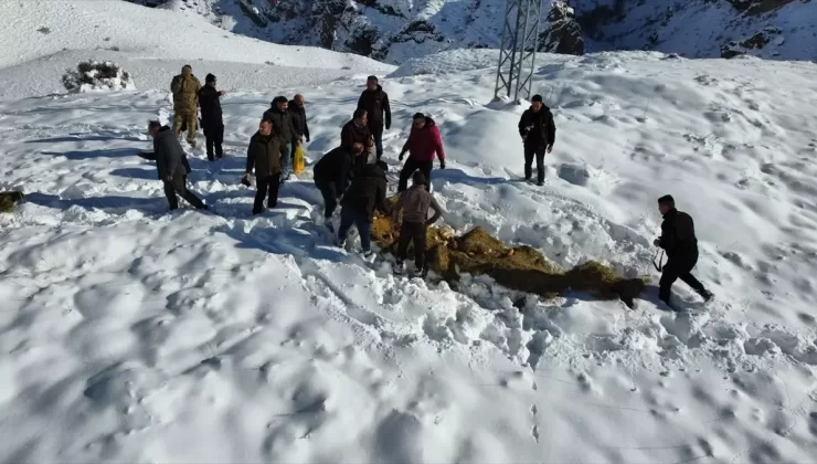 Tortum’da Yaban Hayvanları İçin Yem Bırakıldı