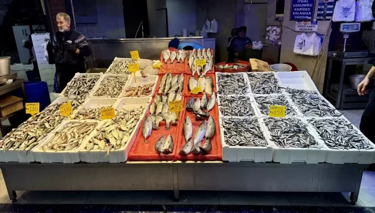 Trabzon’da Hamsi Fiyatları Düşüşte