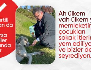 Trabzonlu Başkan Ahmet Metin Genç, sokak köpeğini eliyle besledi