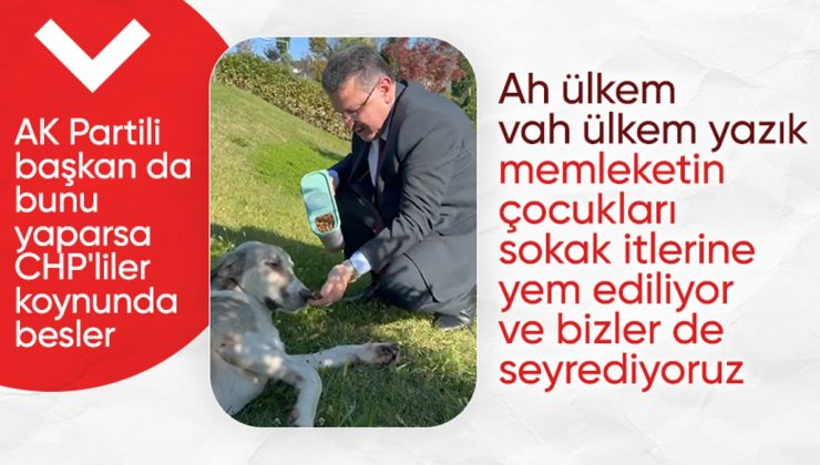 Trabzonlu Başkan Ahmet Metin Genç, sokak köpeğini eliyle besledi