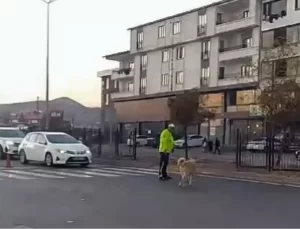 Trafik Polisi Sokak Köpeğini Kurtardı