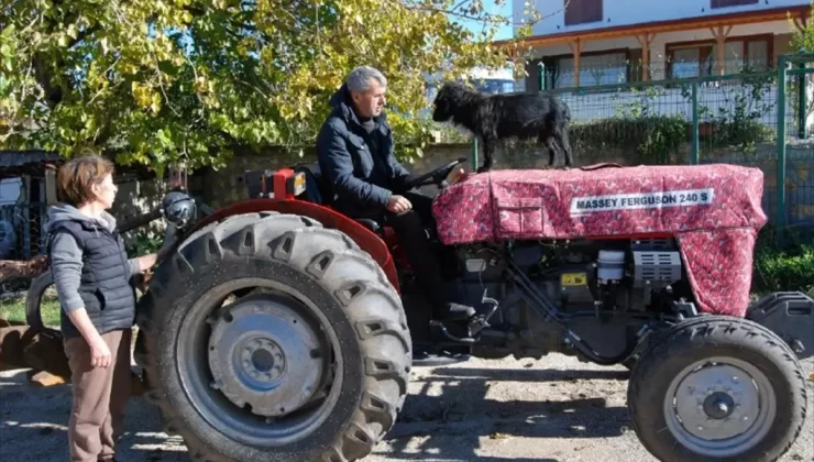 Traktörün Maskotu: Kara