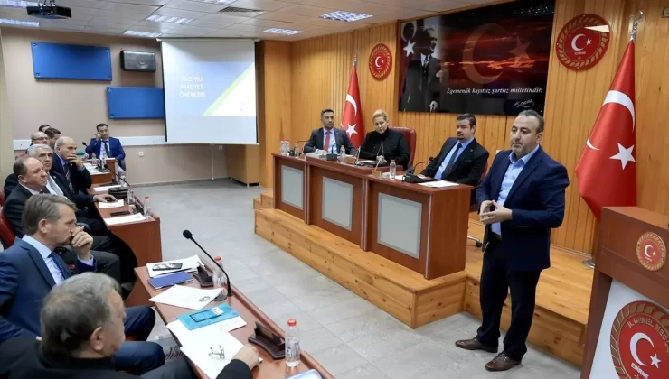 Trakya’da Hibrit Ayçiçeği Tohumu Hedefi