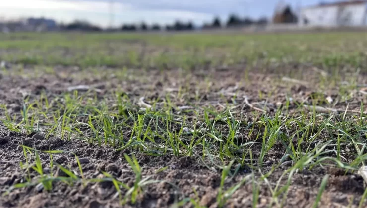 Trakya’da İklim Değişikliği Etkileri ve Tarımsal Zorluklar