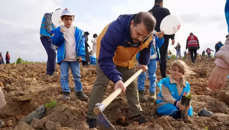 TÜGVA’dan 50 Bin Fidan Dikimi