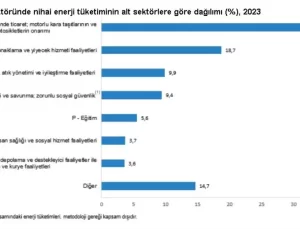 TÜİK 2023 Hizmet-Ticaret Enerji Tüketimini Açıkladı