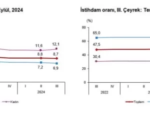 TÜİK 2024 3. Çeyrek İşsizlik Oranını Açıkladı: Yüzde 8,7
