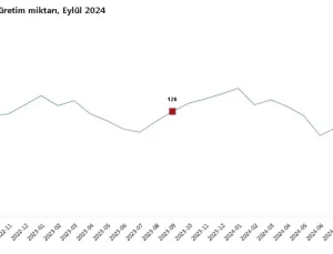 TÜİK: Eylülde Tavuk Eti Üretimi Düştü, Süt Üretimi Arttı