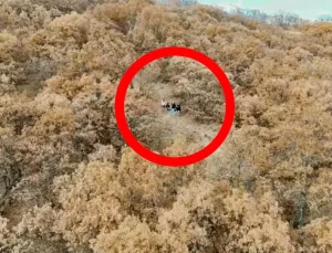 Tunceli’de Kaybolan 5 Kız Çocuğu Jandarma Tarafından Bulundu